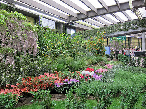 EuroFlora 2011_d0262144_11928100.jpg