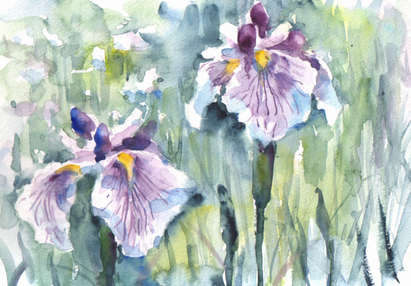 大人気新品セール ブ 水彩画「菖蒲と水草」 絵画