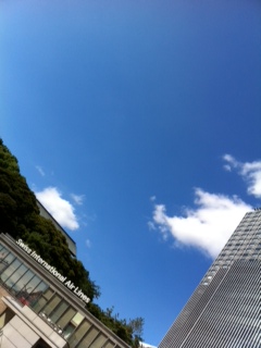 f0071647_20258.jpg