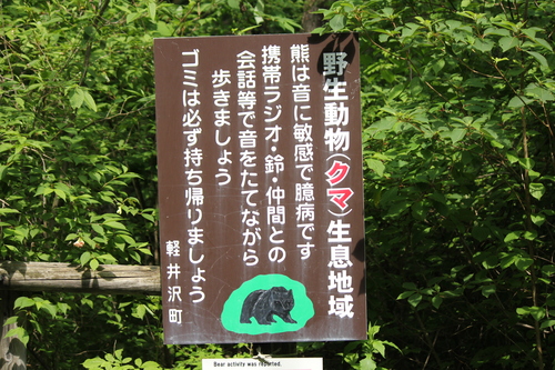 b0245048_6345646.jpg
