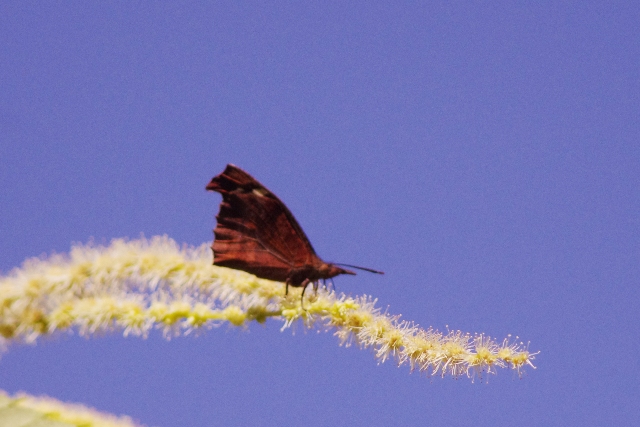 ６月２６日　中越（見附・三条・長岡）散策_b0144049_14532230.jpg