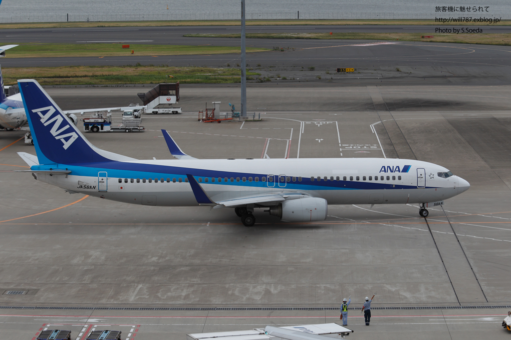 6/29 消されたAIR NIPPONロゴ : 飛行機写真 ～旅客機に魅せられて～