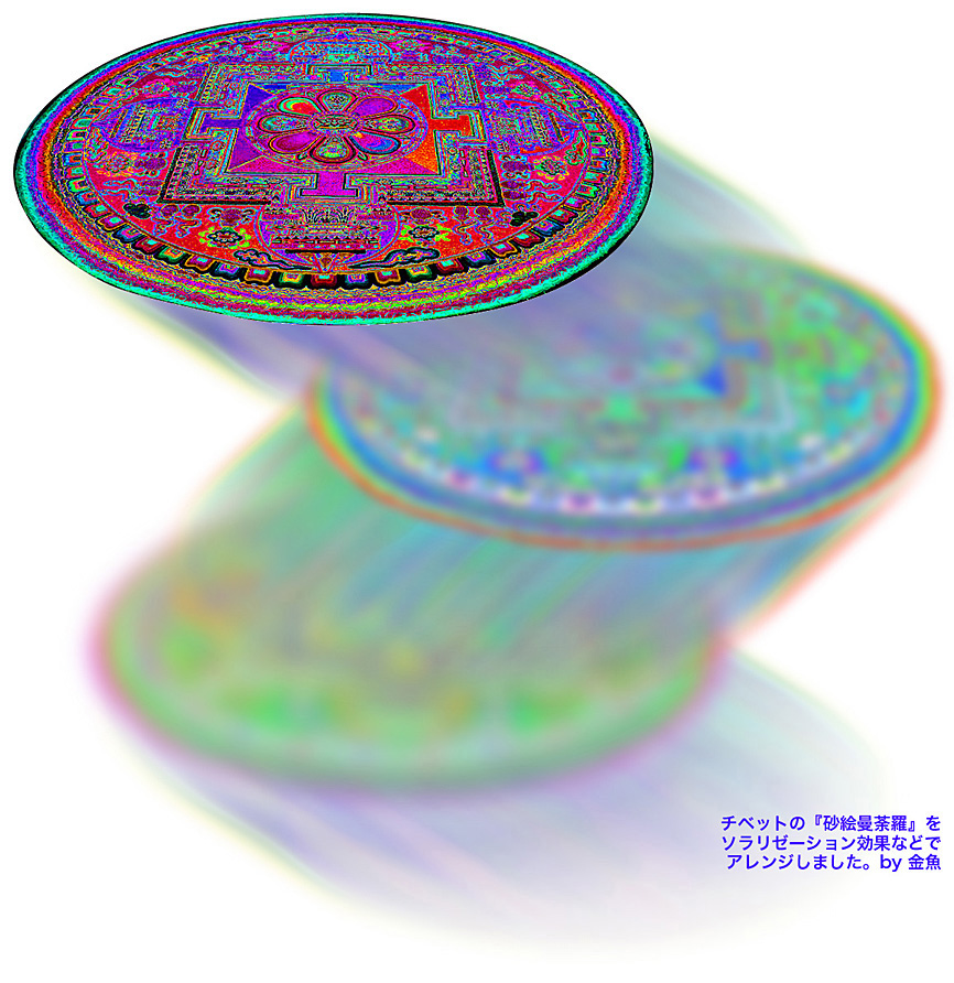 Ny金魚 1 Ny金魚 1