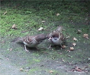e0012055_04870.jpg