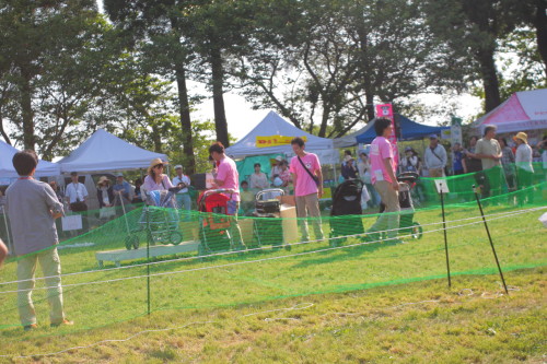 シュナフェス　2012。　午後の部。_e0119258_1613215.jpg