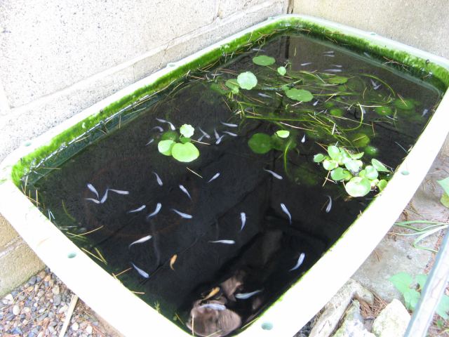 c0202659_05064.jpg