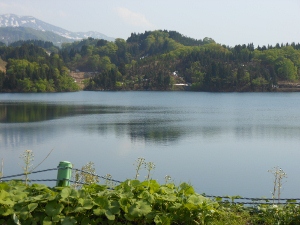 c0115560_15255243.jpg