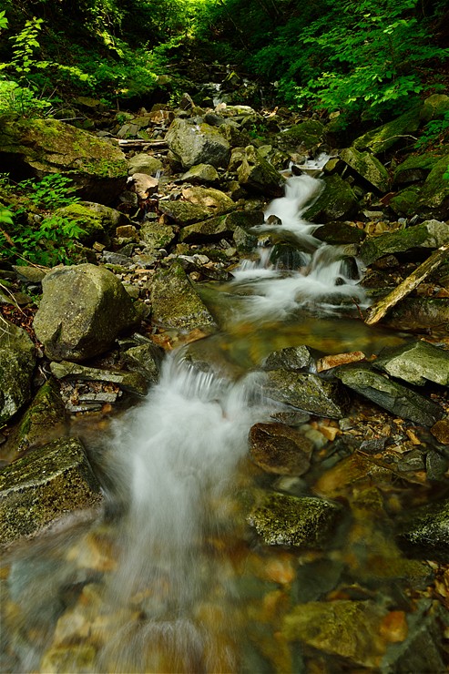 f0222161_15205539.jpg