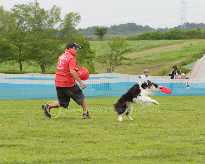 K9 GAME7th 神戸農業公園　Vol.8_a0111162_17223554.jpg