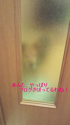 f0192863_1426372.jpg