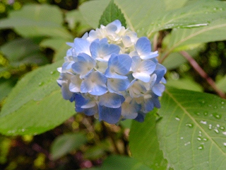 f0232767_1035969.jpg