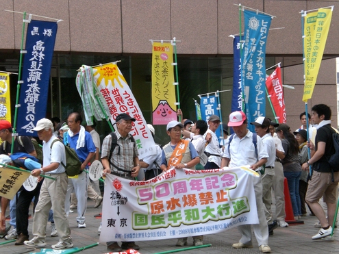 原水爆禁止2012国民平和大行進_e0258484_17354950.jpg