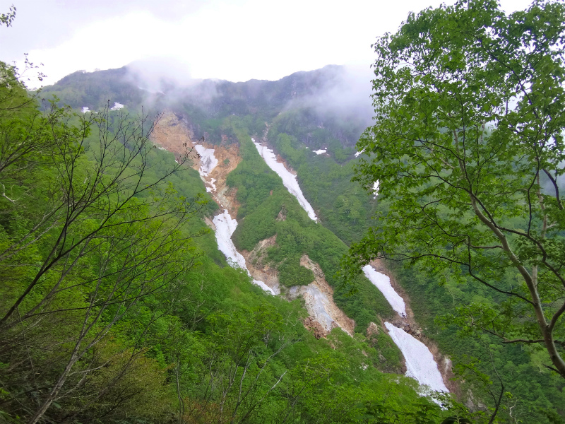 2012/06/25 妙高山トレイルセッション_b0220886_111181.jpg