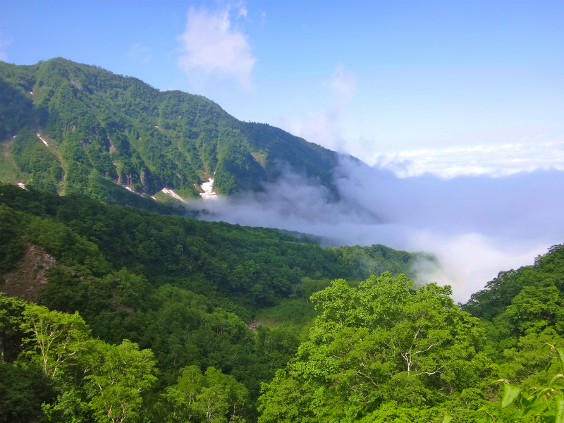 2012/06/25 妙高山トレイルセッション_b0220886_11141749.jpg