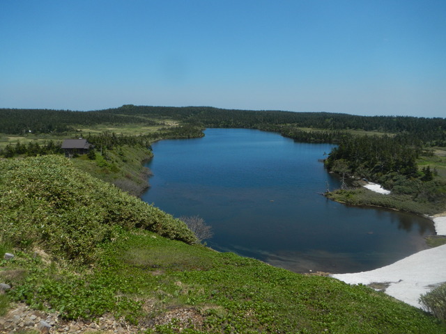 d0138986_135112.jpg