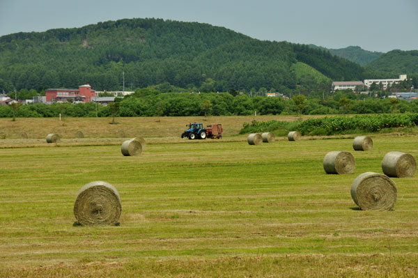 f0212586_20155938.jpg