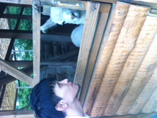 日本昭和村へ行ってきました!_d0178587_1253885.jpg