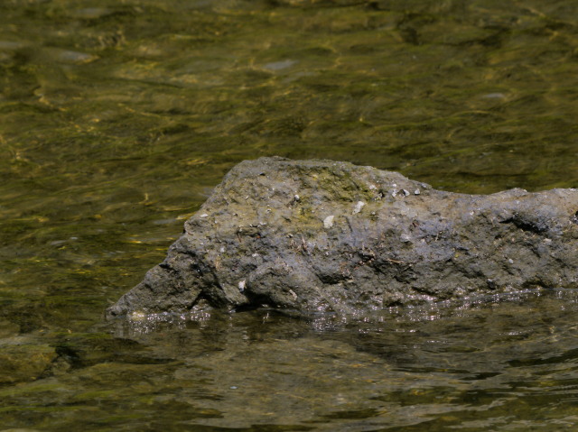 b0203989_1837367.jpg