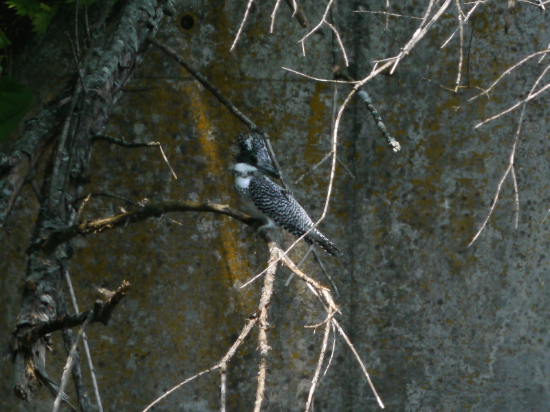 b0203989_1840457.jpg