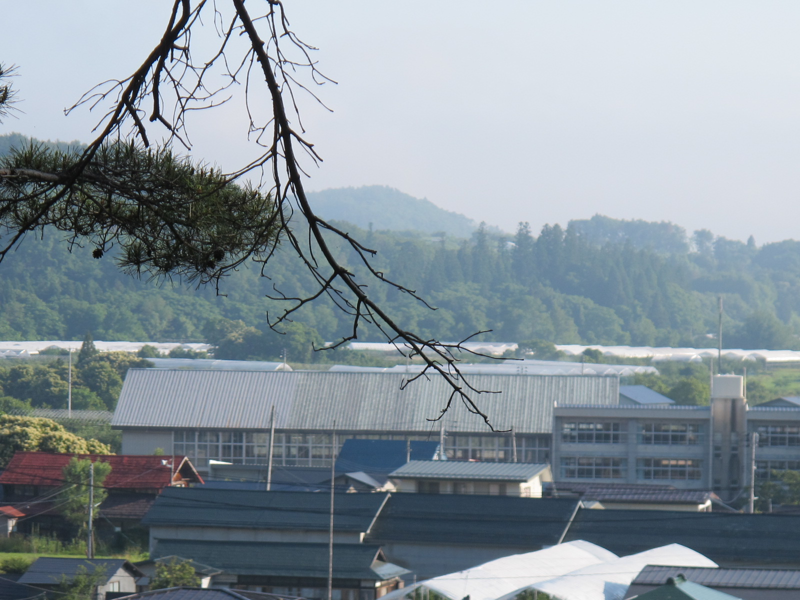 愛車・アンカーで御成山公園の「人繊工業発祥の地」石碑へ（１）_c0075701_8335189.jpg