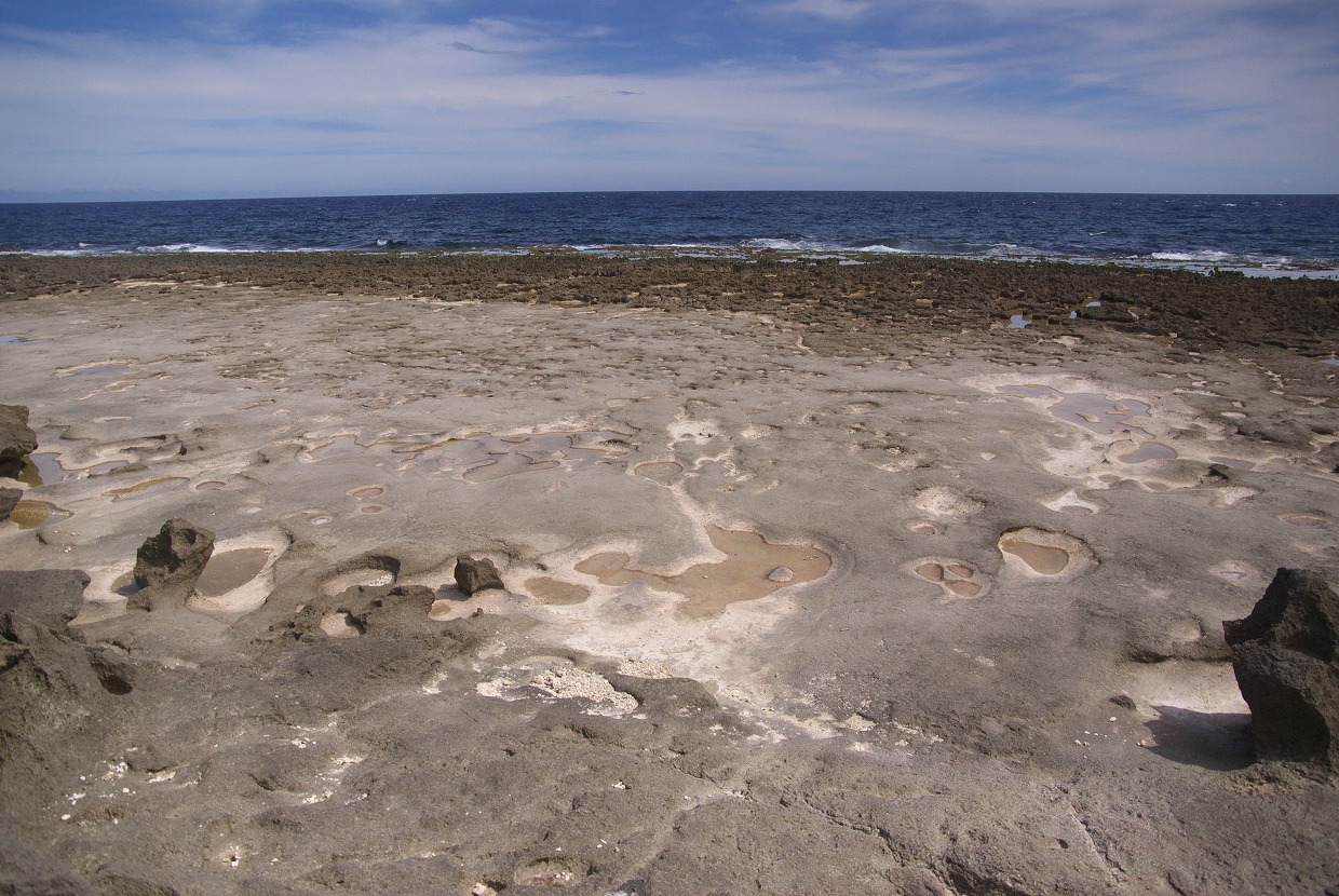 b0174905_848618.jpg