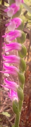 f0231709_13421931.jpg