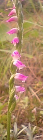 f0231709_13452480.jpg