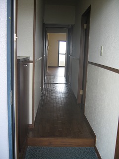 梅雨本番 _e0238112_944565.jpg