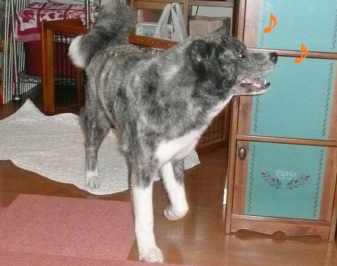 f0121712_1632010.jpg