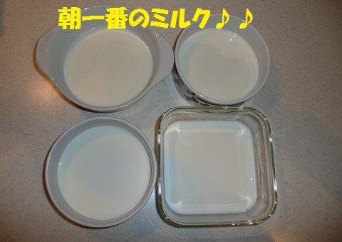 f0121712_16321255.jpg