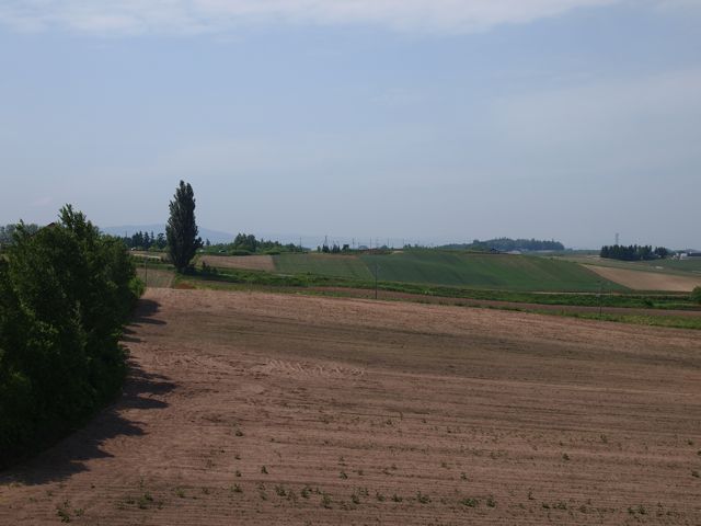 a0151615_155090.jpg