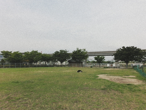 e0179321_17114218.jpg