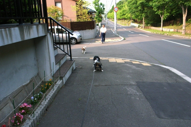 c0051132_20535848.jpg