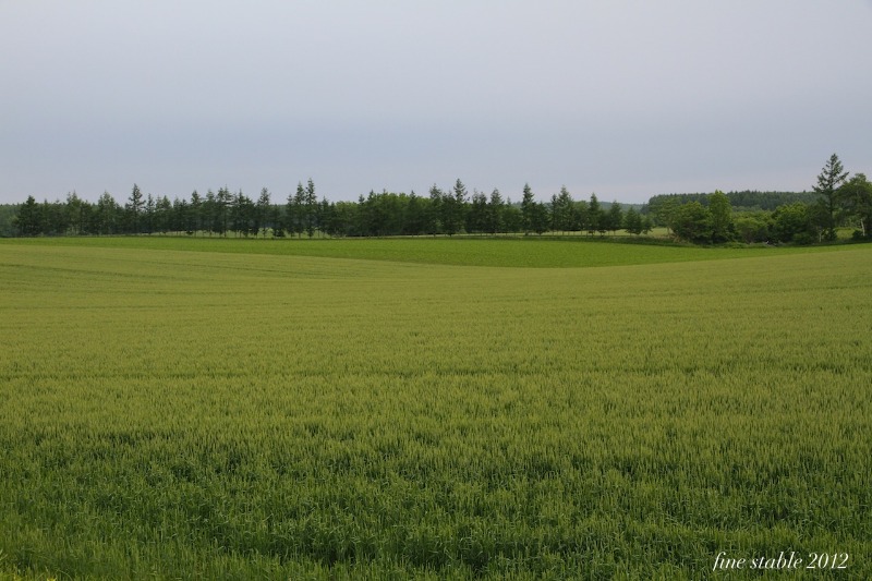 c0240132_6261567.jpg