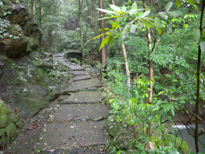 e0272335_1848065.jpg