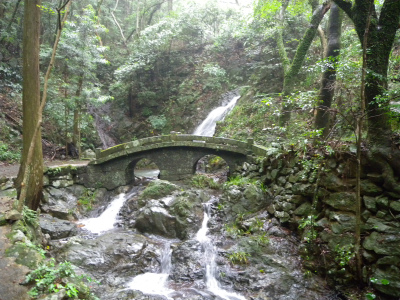 e0272335_1850238.jpg
