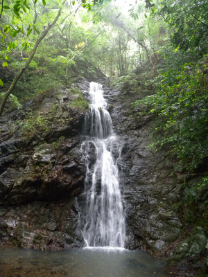e0272335_1902661.jpg