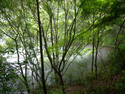 e0272335_1910982.jpg