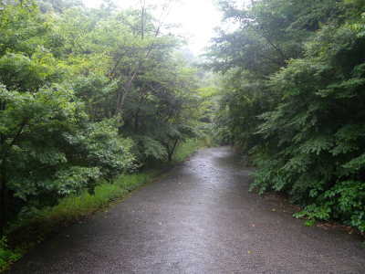 e0272335_19131322.jpg