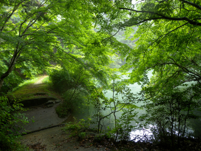 e0272335_201201.jpg