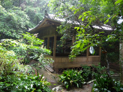 e0272335_20242710.jpg