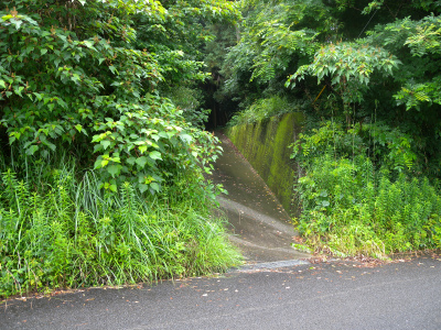 e0272335_2030722.jpg