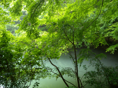 e0272335_2033474.jpg