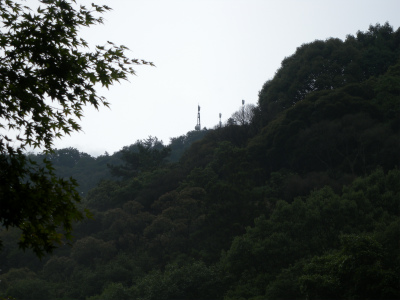 e0272335_2072070.jpg