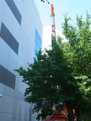 f0206939_22265190.jpg