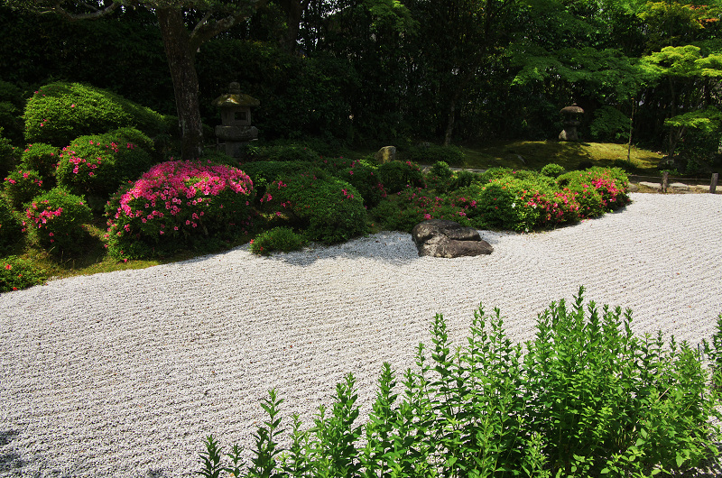 サツキの頃（金福寺）_f0155048_1542337.jpg