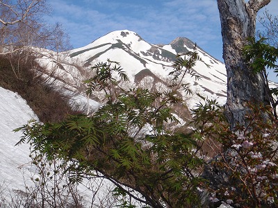 c0097754_21303810.jpg