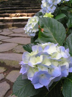e0140354_222210100.jpg
