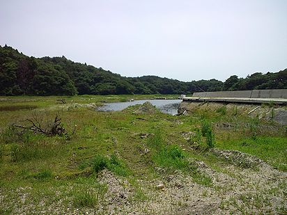 a0096557_13451310.jpg