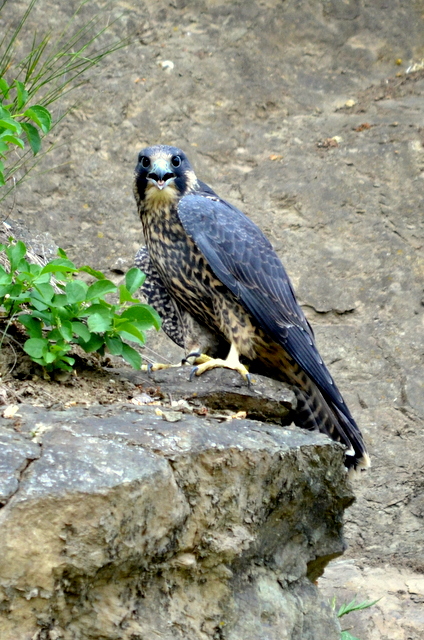 b0165760_13121066.jpg